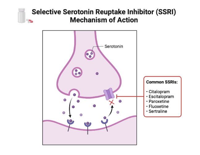 همه چیز درباره اس سیتالوپرام (Escitalopram): کاربردها، عوارض جانبی و نکات مهم Escitalopram
