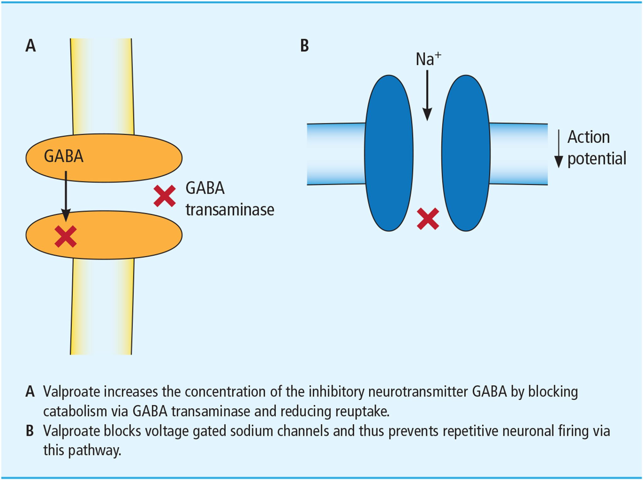 همه چیز درباره والپروات (Valproate): کاربردها، عوارض جانبی و نکات مهم Valproate
