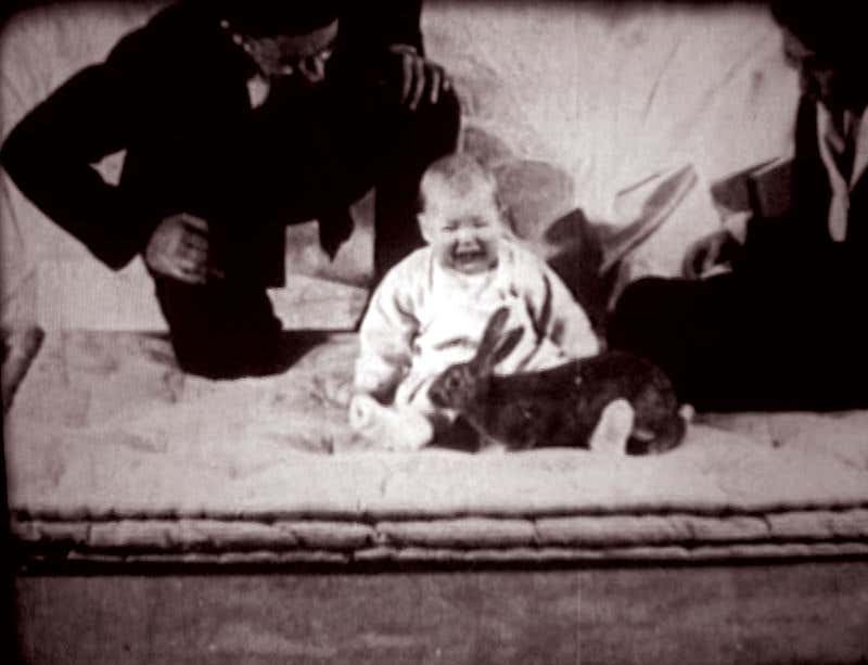 آزمایش روانشناختی آلبرت کوچولو (Little Albert Experiment): تأثیر محیط بر ترسها و احساسات انسانی Little Albert Experiment