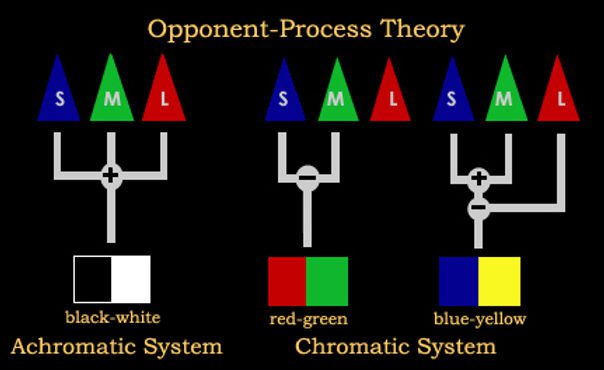آزمایش روانشناختی نظریه فرایند متضاد در احساسات (The Opponent Process Theory of Emotion): تعادل احساسات در دنیای متضاد The Opponent Process Theory of Emotion