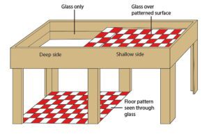 The Visual Cliff Experiment