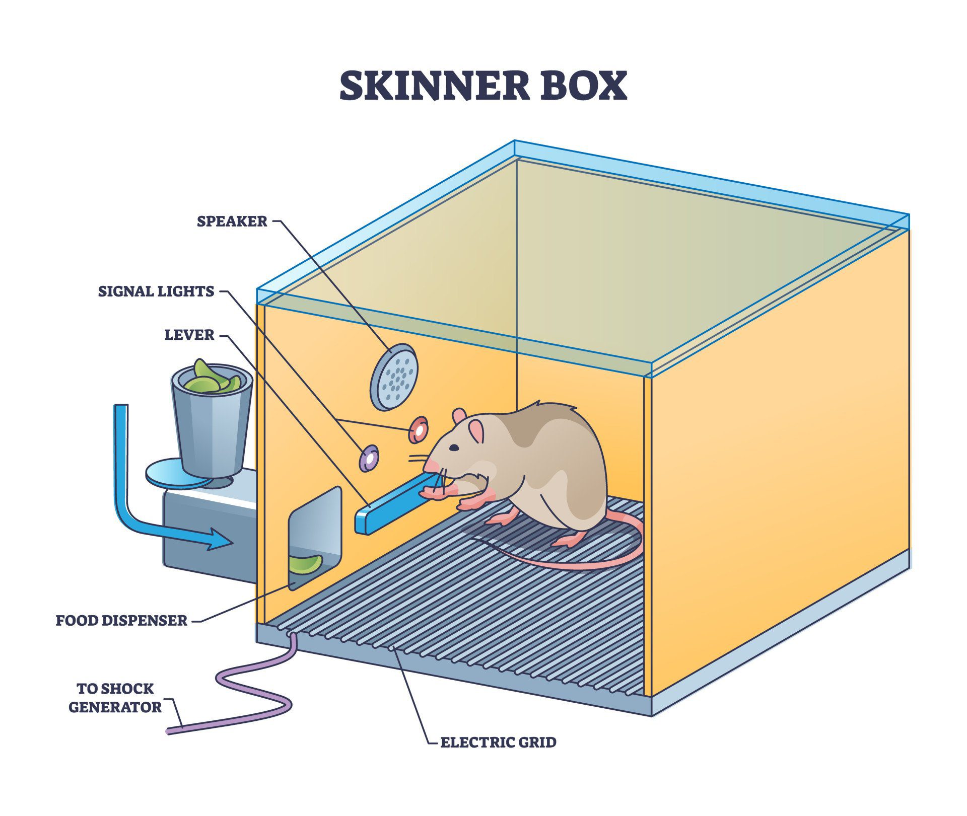آزمایش روانشناختی محفظه شرطیسازی فعال اسکینر (Skinner's Operant Conditioning Chamber ): شکلدهی رفتار از طریق تقویت و تنبیه Skinner's Operant Conditioning Chamber (Box)