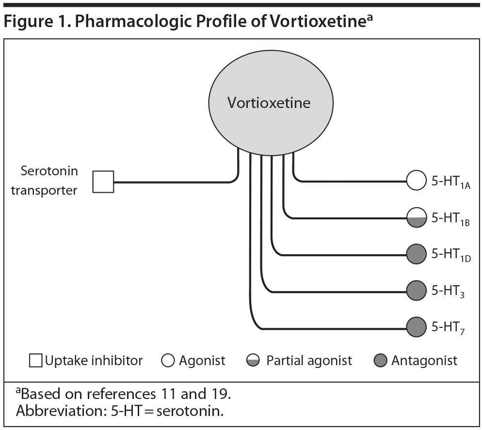 همه چیز درباره ورتیوکستین (Vortioxetine): کاربردها، عوارض جانبی و نکات مهم Vortioxetine
