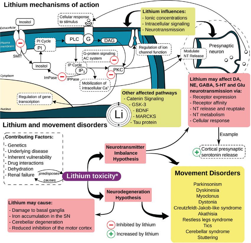 همه چیز درباره لیتیوم (Lithium): کاربردها، عوارض جانبی و نکات مهم همه چیز درباره لیتیوم (Lithium): کاربردها، عوارض جانبی و نکات مهم