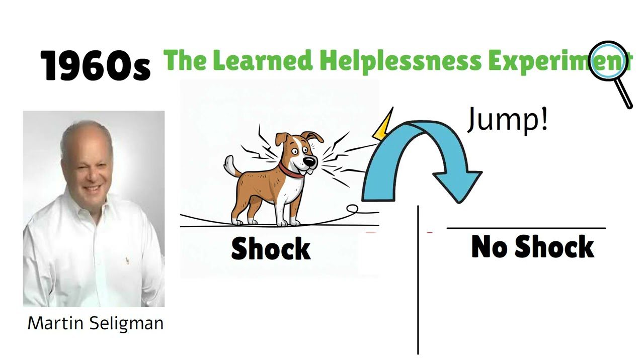 آزمایش روانشناختی درماندگی آموختهشده (The Learned Helplessness Experiment): غلبه بر چرخههای شکست با تغییر نگرش آزمایش روانشناختی درماندگی آموختهشده (The Learned Helplessness Experiment): غلبه بر چرخههای شکست با تغییر نگرش