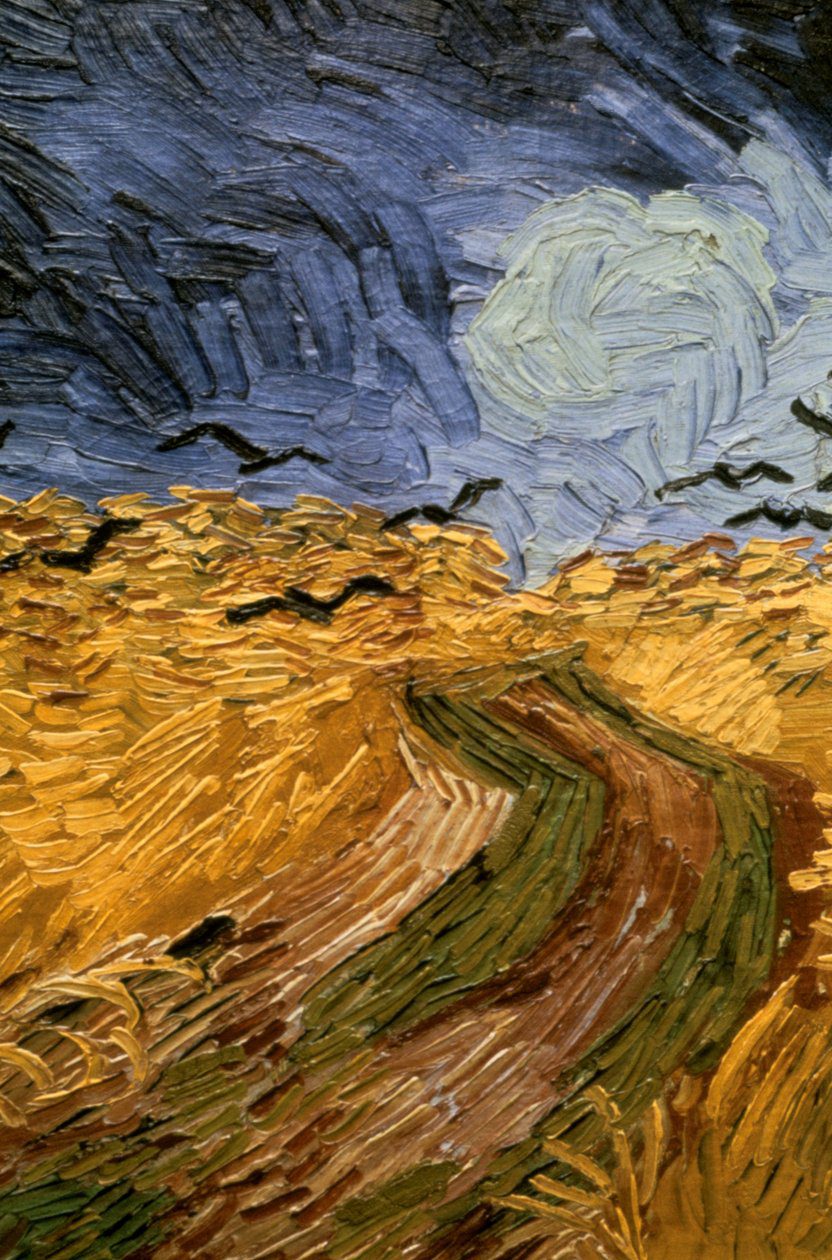 تحلیل روانشناختی نقاشی مزرعه گندم با کلاغ‌ها (wheatfield with crows) اثر وینسنت ون گوگ