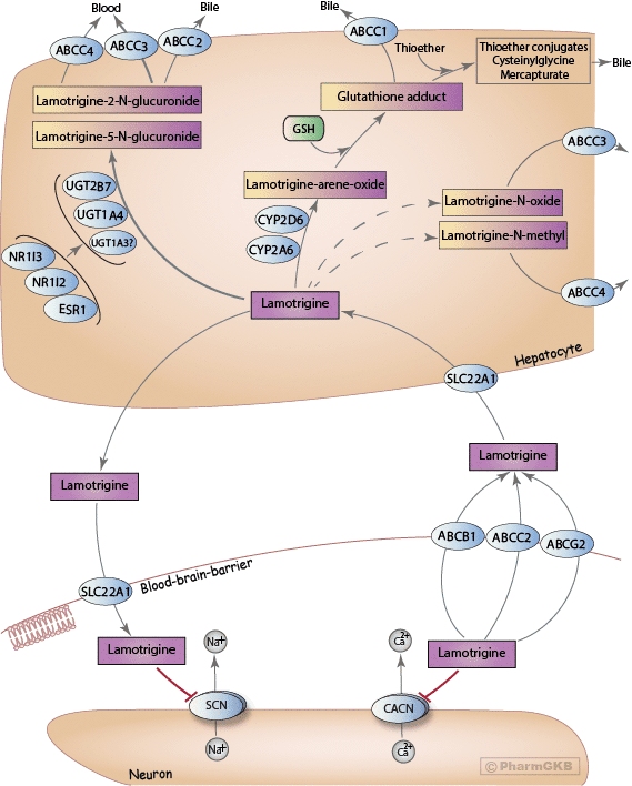 Lamotrigine