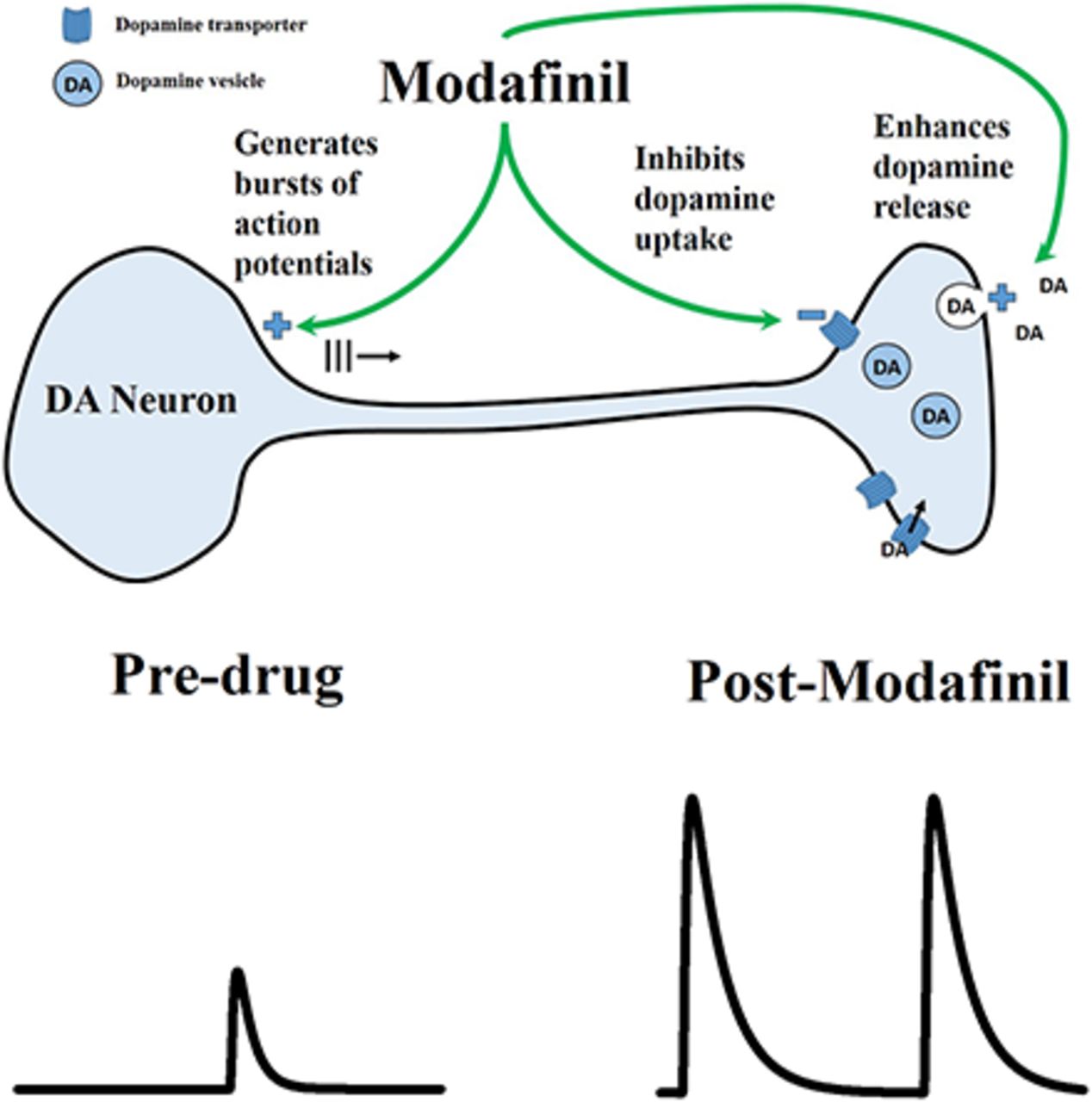 Modafinil