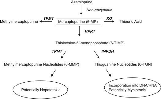 Nortriptyline