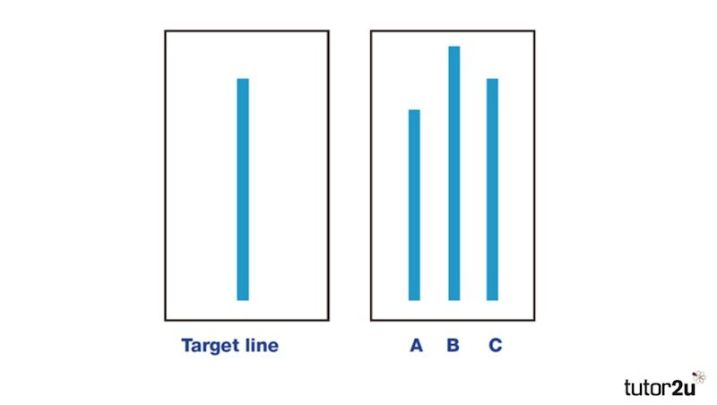 Asch Conformity Experiment