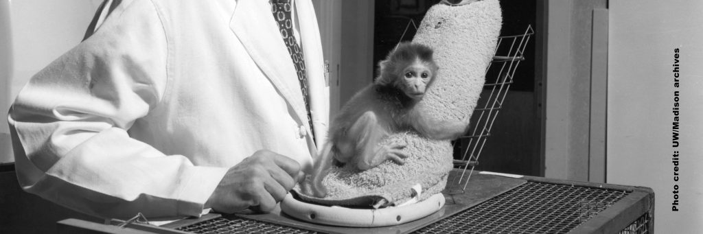 Harlow's Monkey Experiment