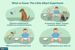 Little Albert Experiment