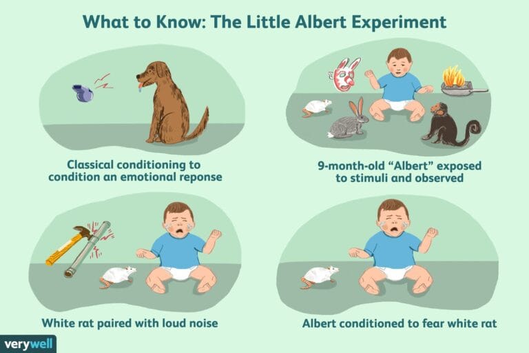 Little Albert Experiment