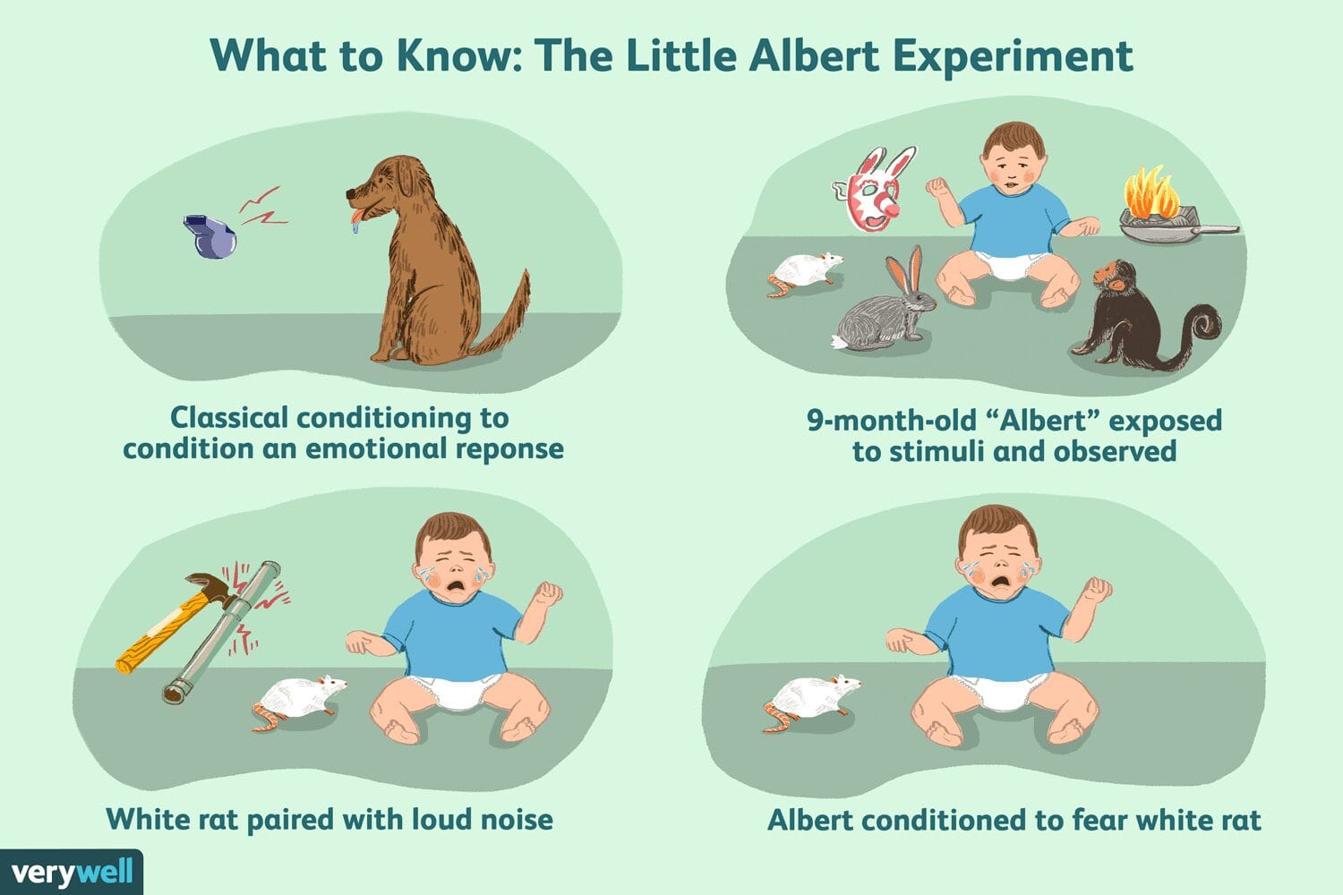 Little Albert Experiment