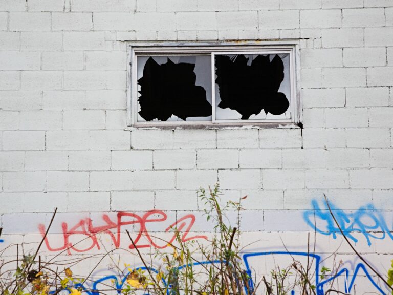 The Broken Windows Theory