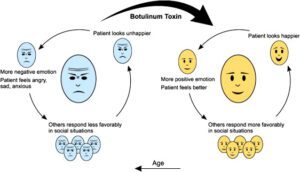 The Facial Feedback Hypothesis Experiment