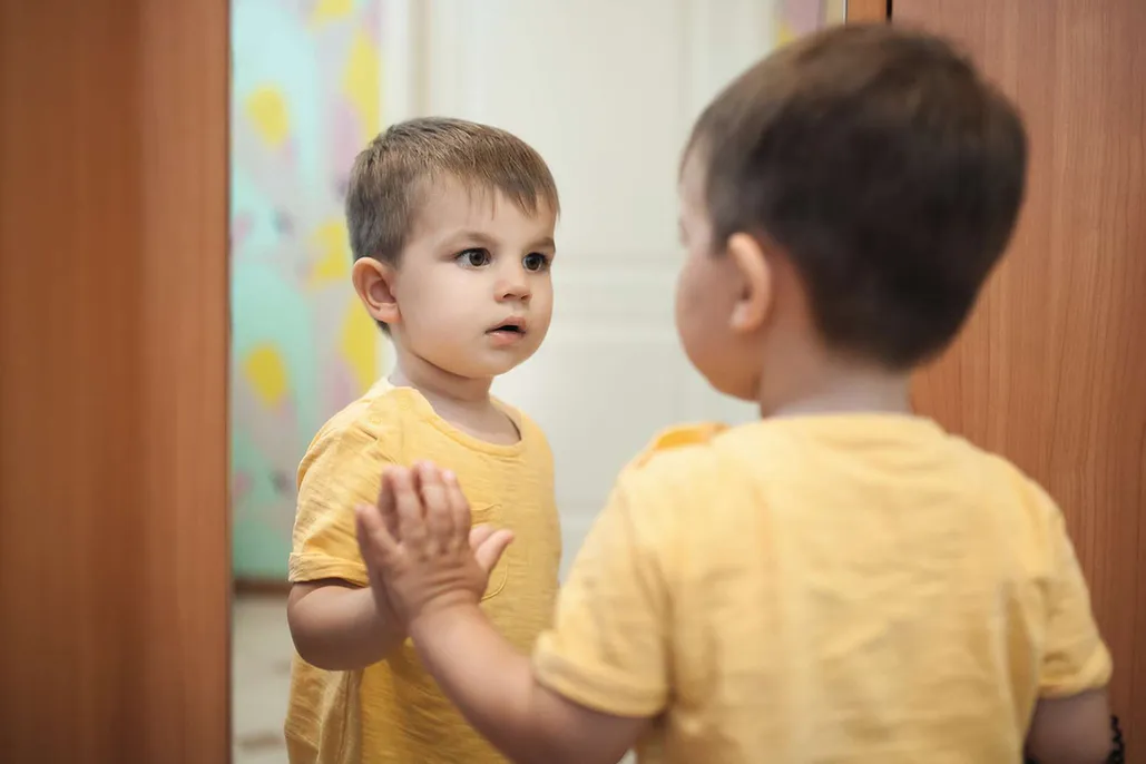 آزمایش روانشناختی آزمایش آینه برای تشخیص خود (The Mirror Test for Self-Recognition): آینهای به سوی خودآگاهی The Mirror Test for Self-Recognition
