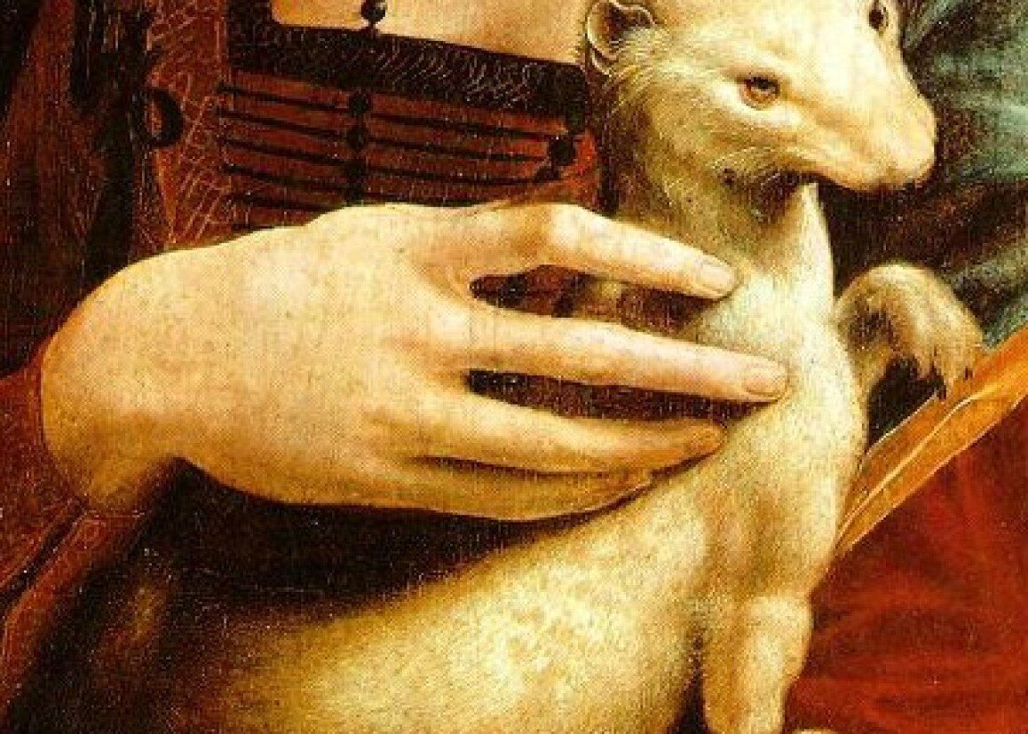 تحلیل روانشناختی بانوی با قاقم (Lady with an Ermine) اثر لئوناردو داوینچی: نمایش معصومیت و قدرت