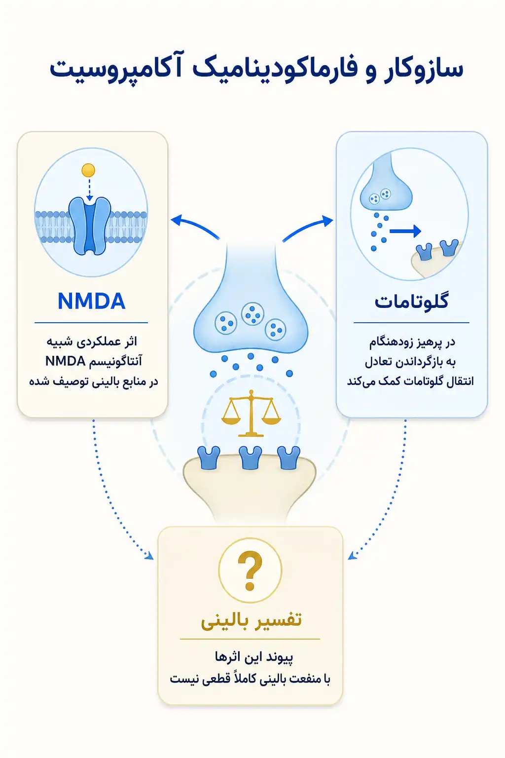 اینفوگرافیک مکانیسم اثر و فارماکودینامیکآکامپروسیت