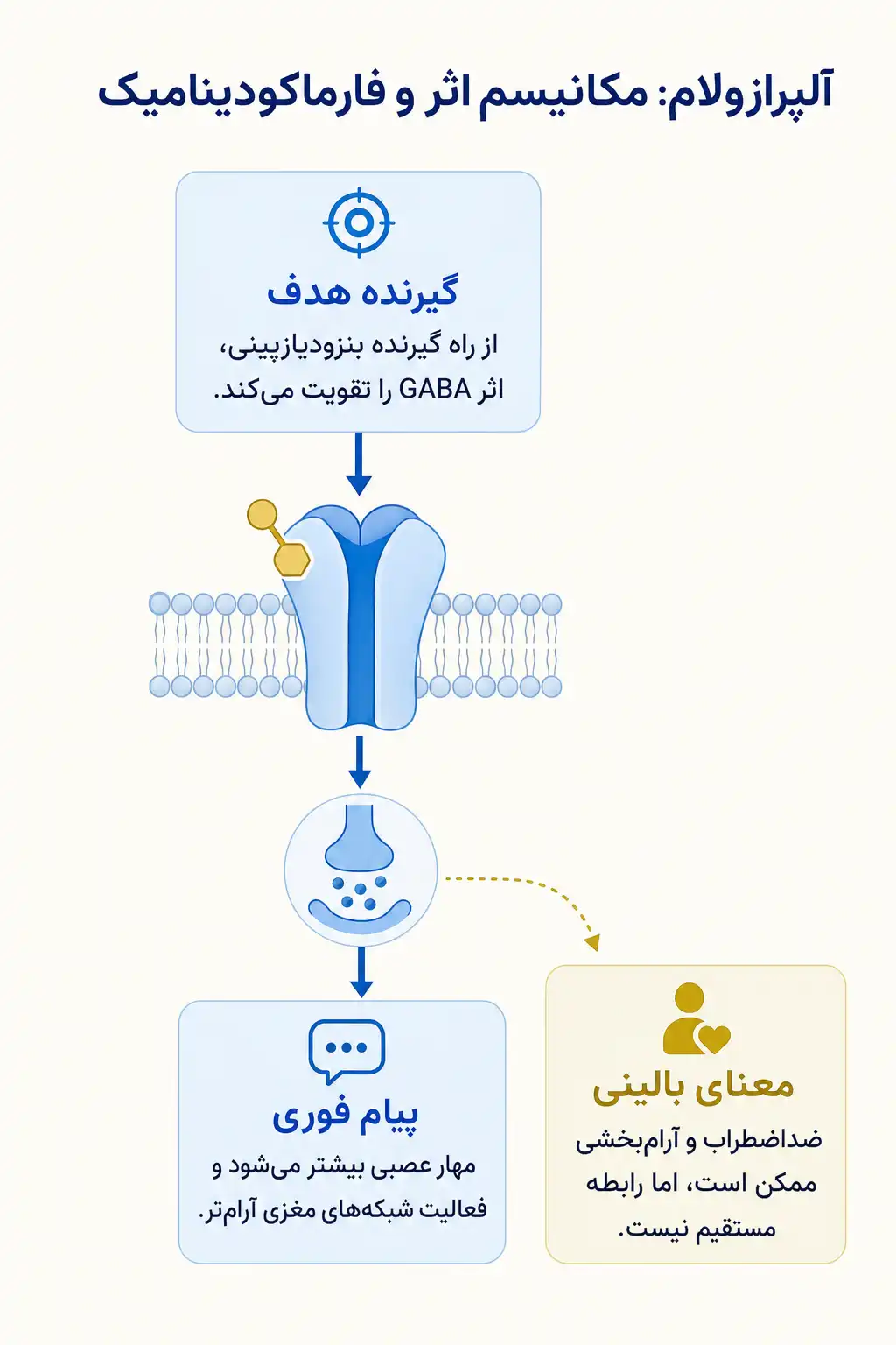 اینفوگرافیک مکانیسم اثر و فارماکودینامیکآلپرازولام