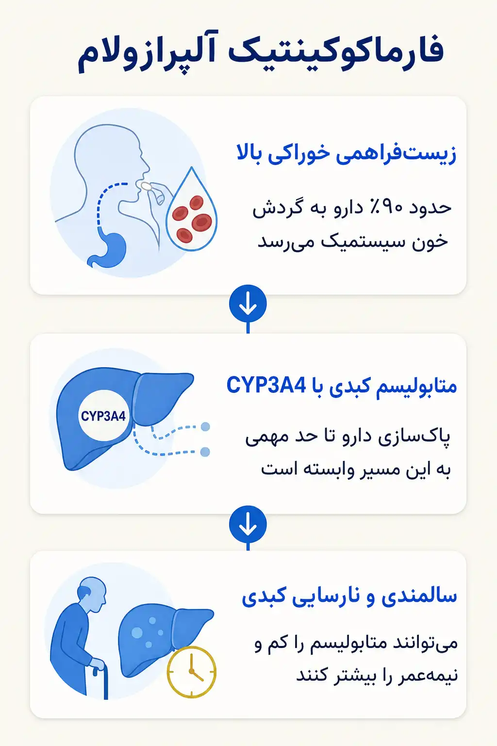اینفوگرافیک فارماکوکینتیک و مسیر آلپرازولام در بدن