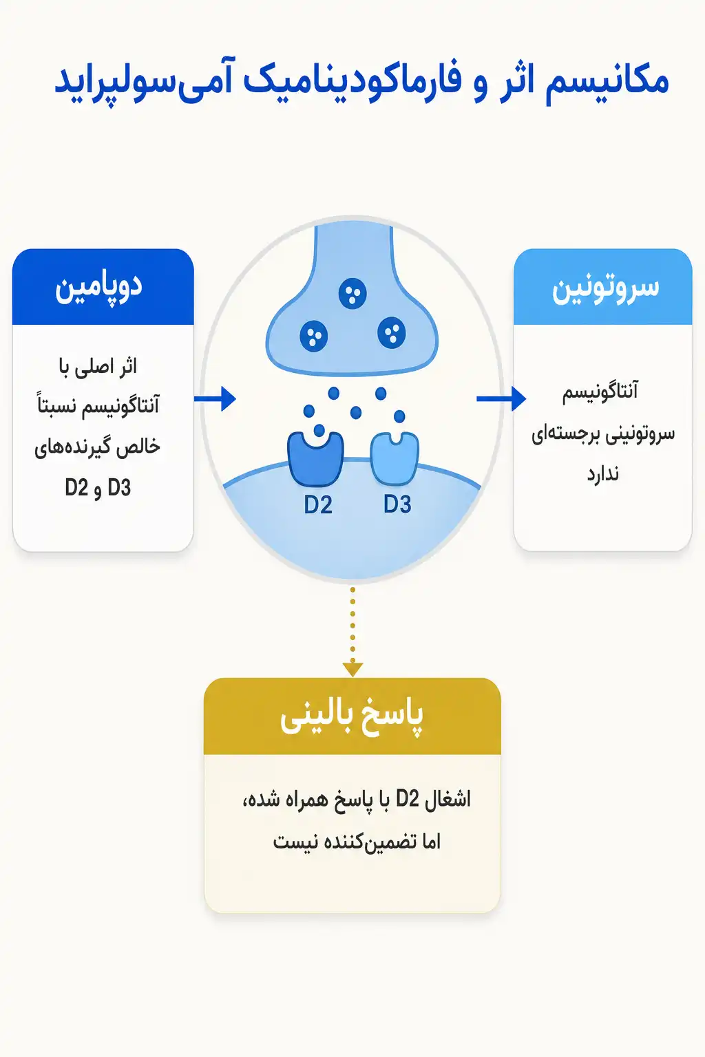 اینفوگرافیک مکانیسم اثر و فارماکودینامیکآمیسولپراید