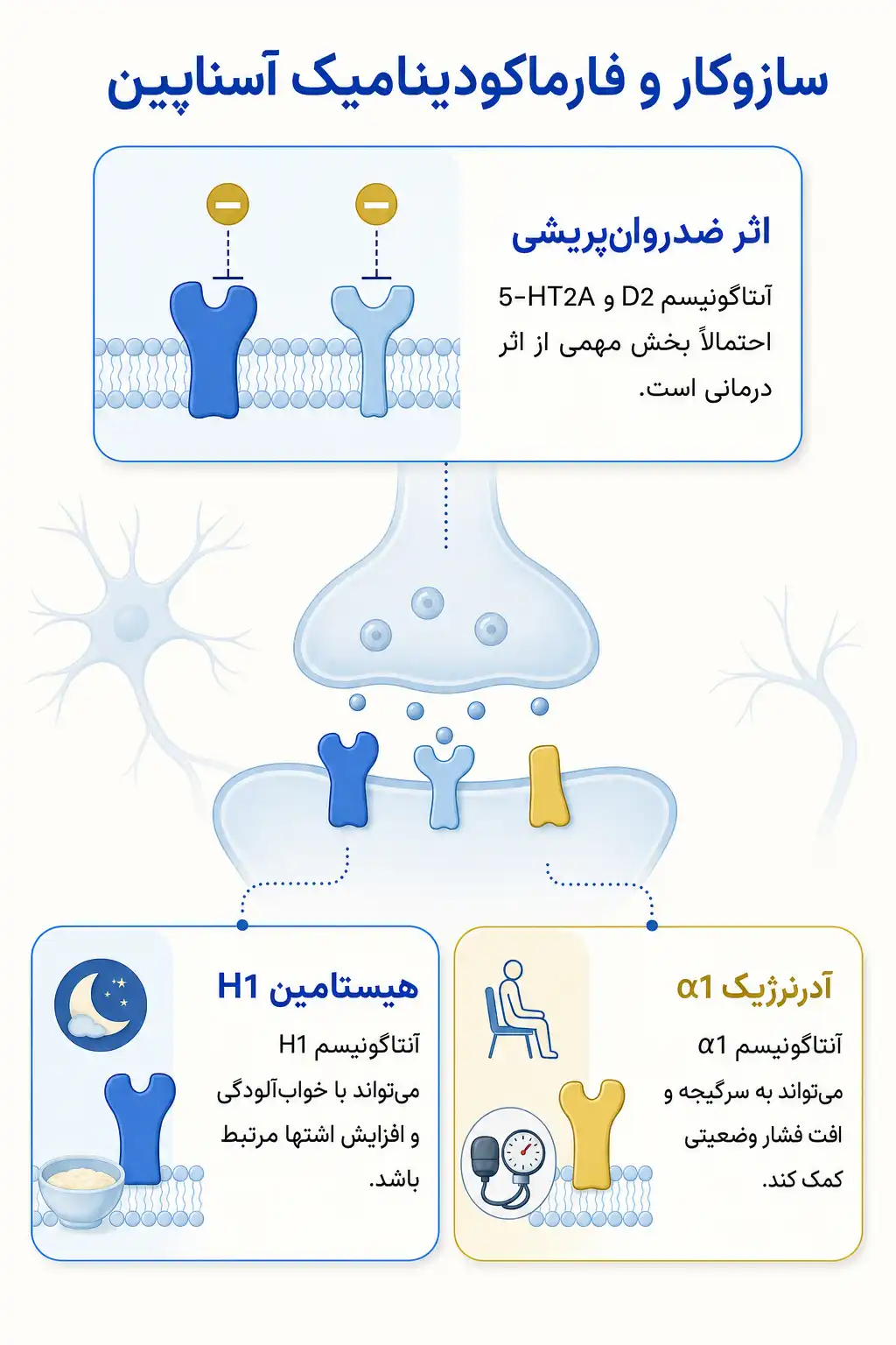اینفوگرافیک مکانیسم اثر و فارماکودینامیکآسناپین