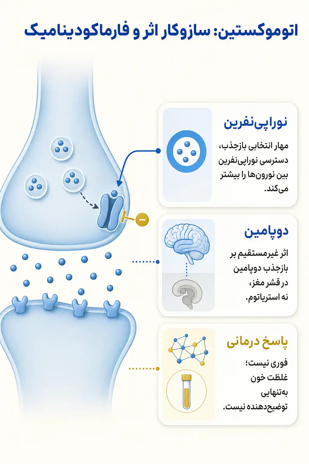اینفوگرافیک مکانیسم اثر و فارماکودینامیکاتوموکستین