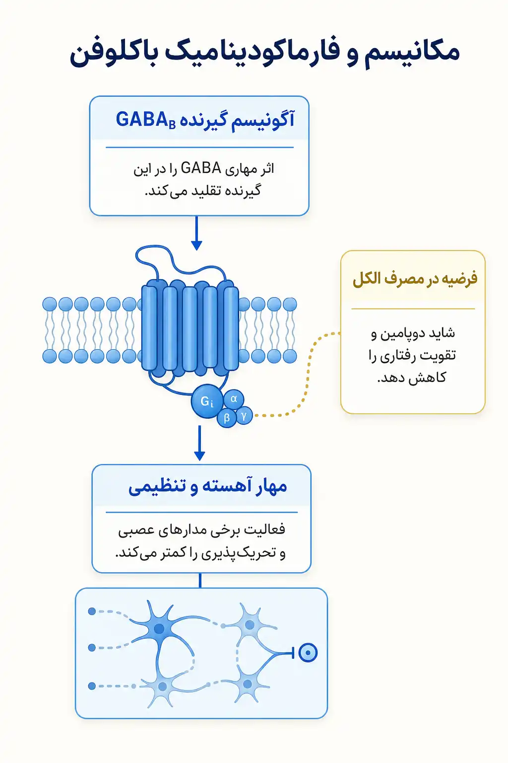 اینفوگرافیک مکانیسم اثر و فارماکودینامیکباکلوفن
