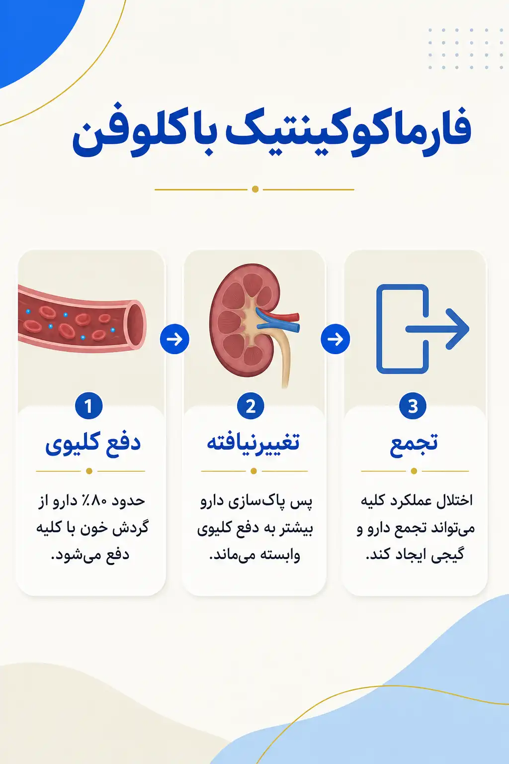 اینفوگرافیک فارماکوکینتیک و مسیر باکلوفن در بدن