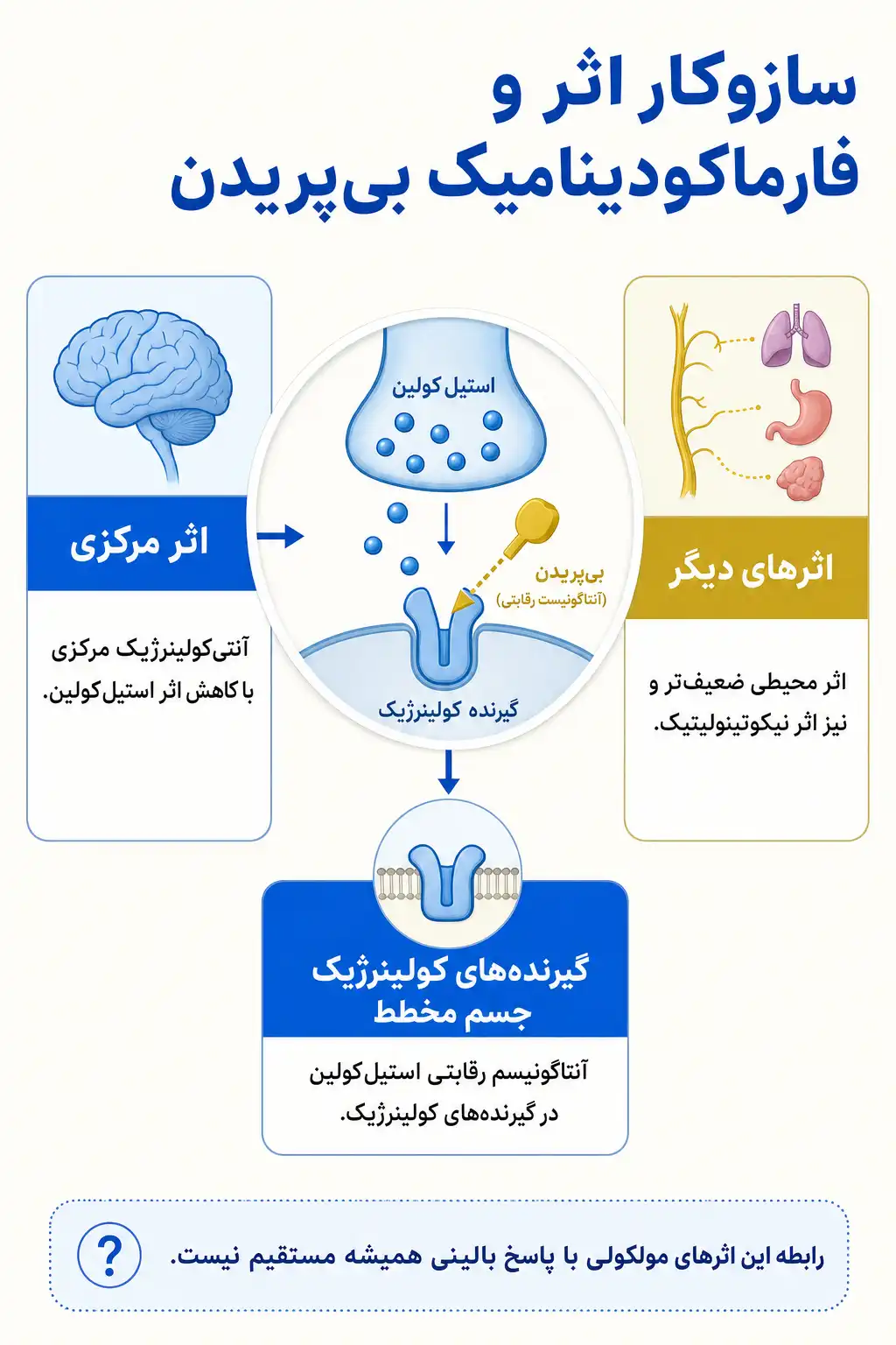 اینفوگرافیک مکانیسم اثر و فارماکودینامیکبیپریدن