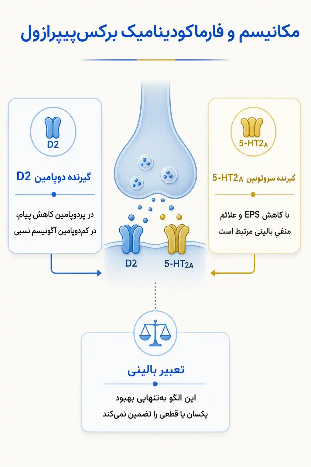 اینفوگرافیک مکانیسم اثر و فارماکودینامیکبرکس‌پیپرازول