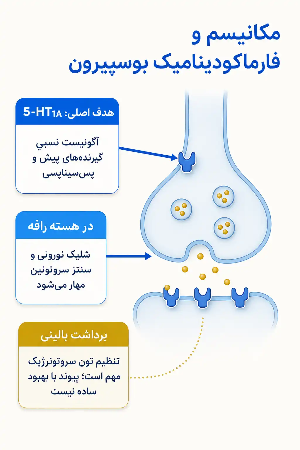 اینفوگرافیک مکانیسم اثر و فارماکودینامیکبوسپیرون
