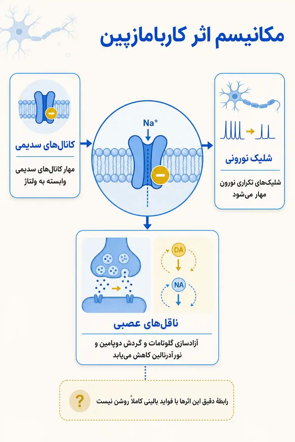 اینفوگرافیک مکانیسم اثر و فارماکودینامیککاربامازپین