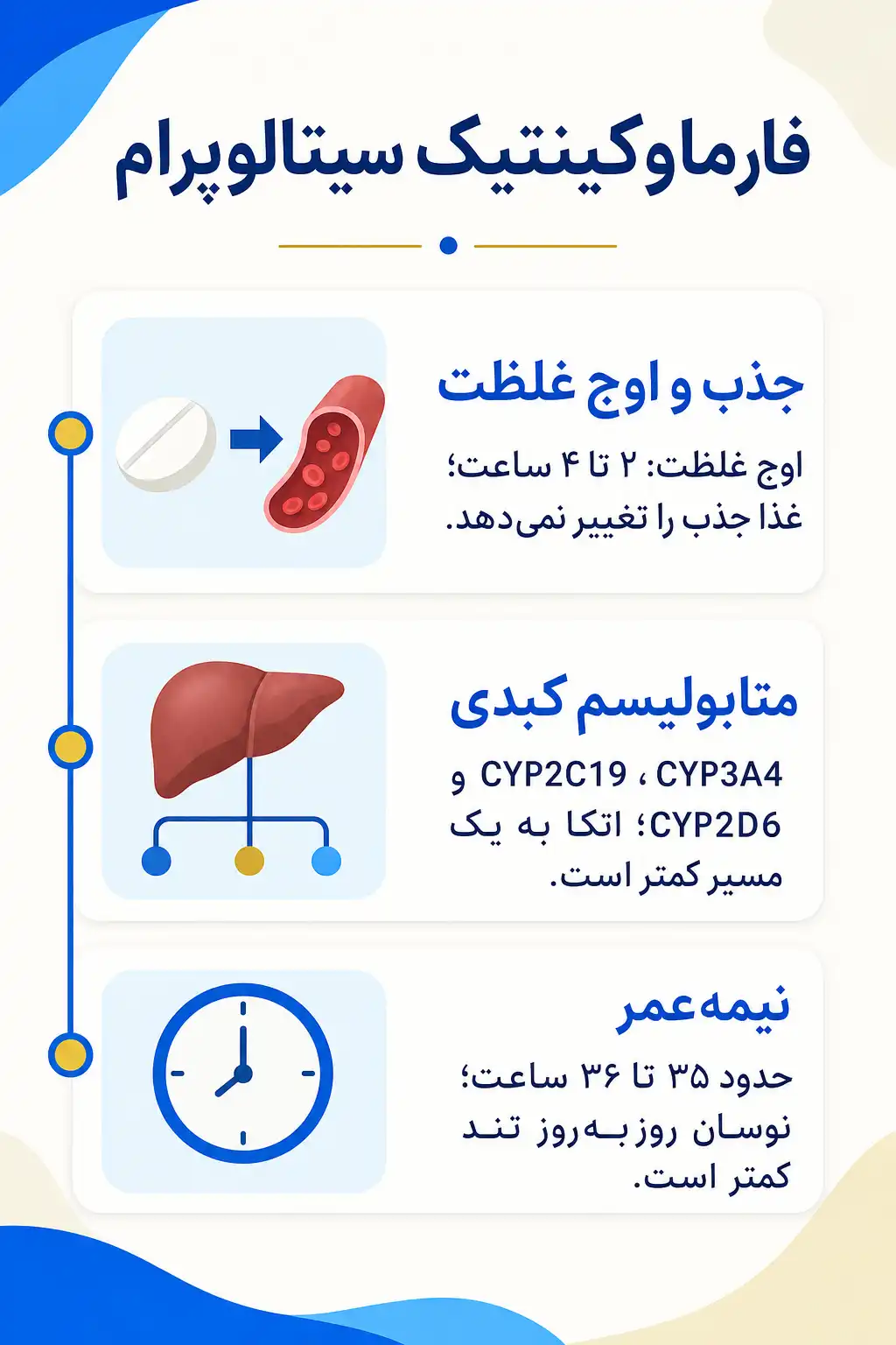 اینفوگرافیک فارماکوکینتیک و مسیر سیتالوپرام در بدن