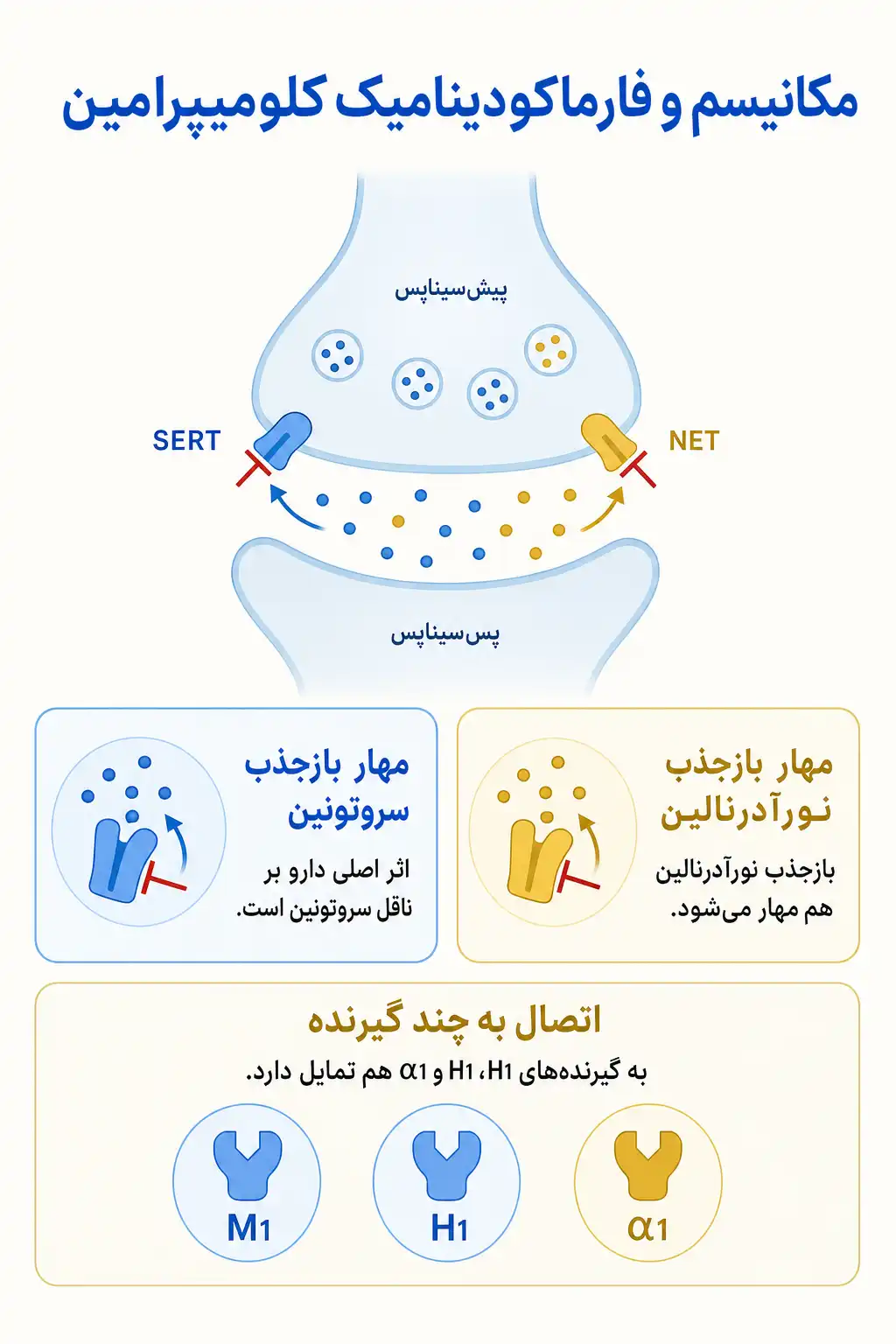 اینفوگرافیک مکانیسم اثر و فارماکودینامیککلومیپرامین