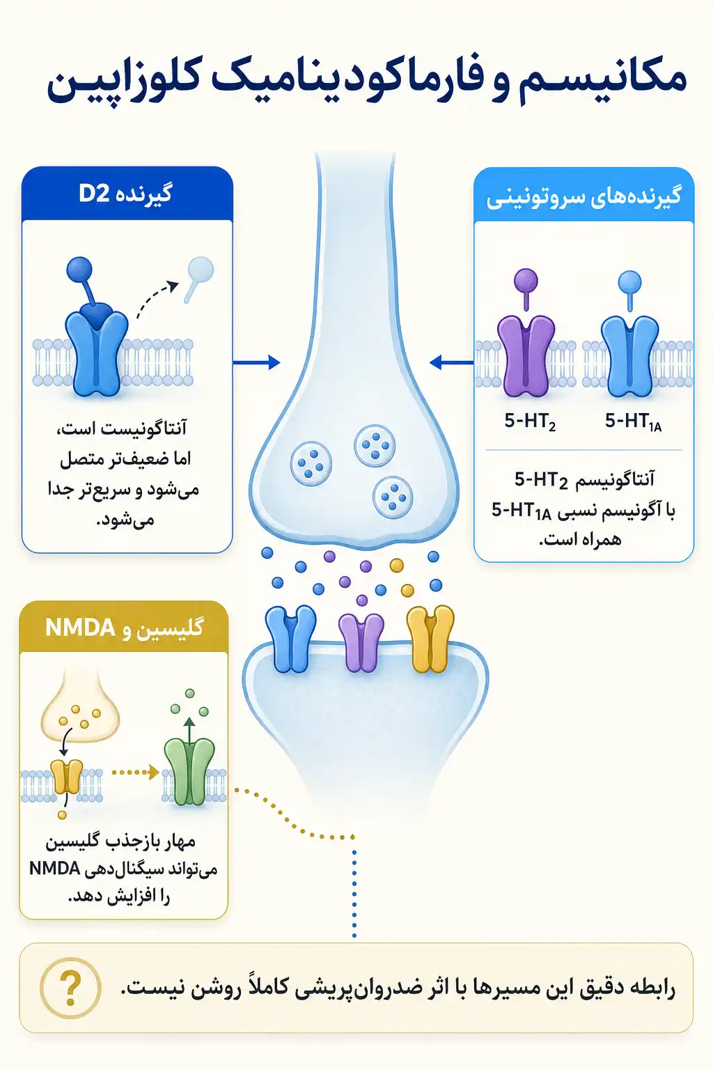 اینفوگرافیک مکانیسم اثر و فارماکودینامیککلوزاپین