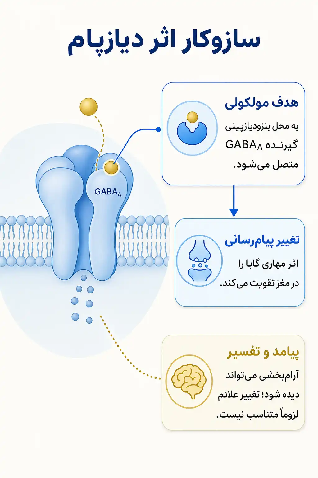 اینفوگرافیک مکانیسم اثر و فارماکودینامیکدیازپام