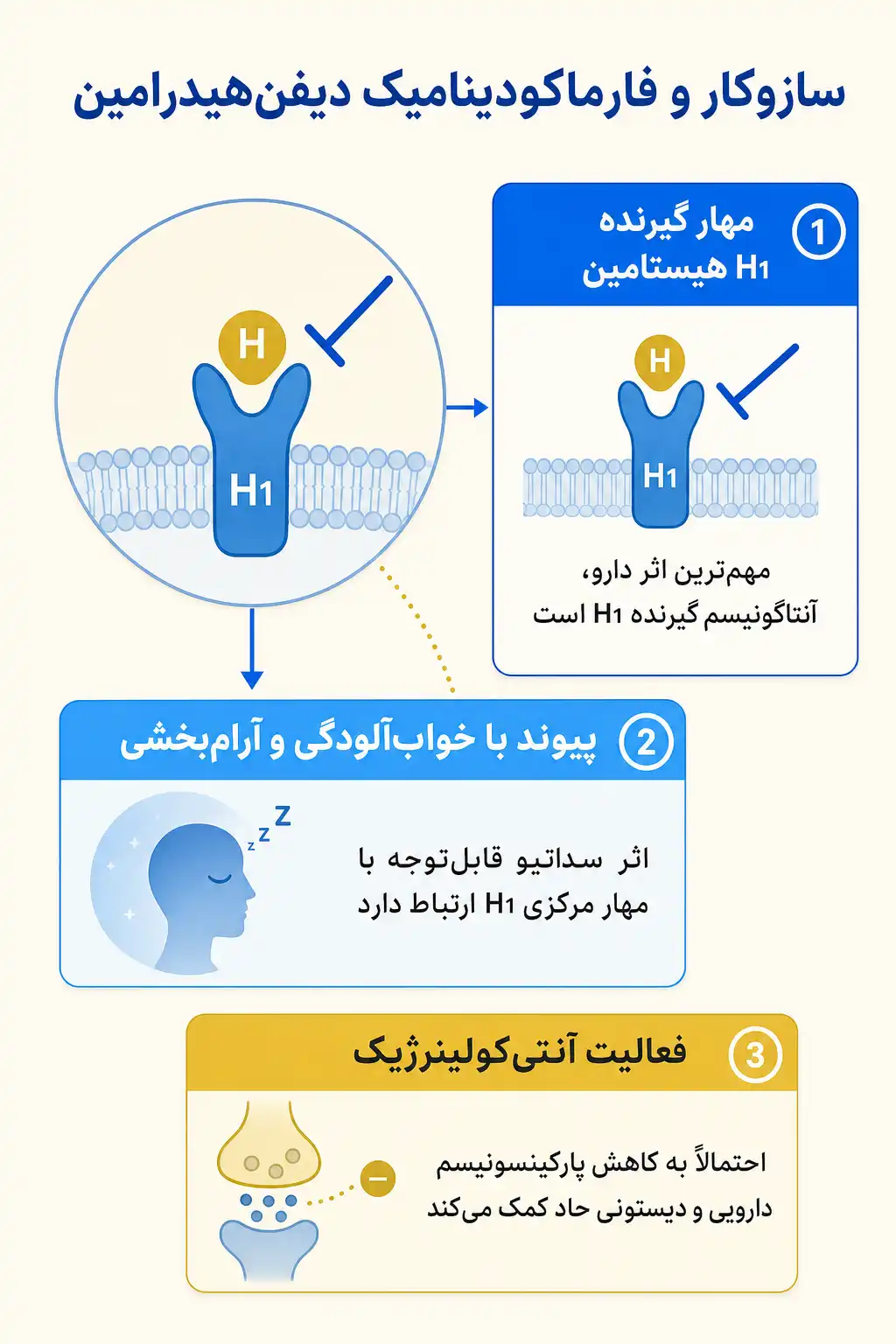 اینفوگرافیک مکانیسم اثر و فارماکودینامیکدیفنهیدرامین