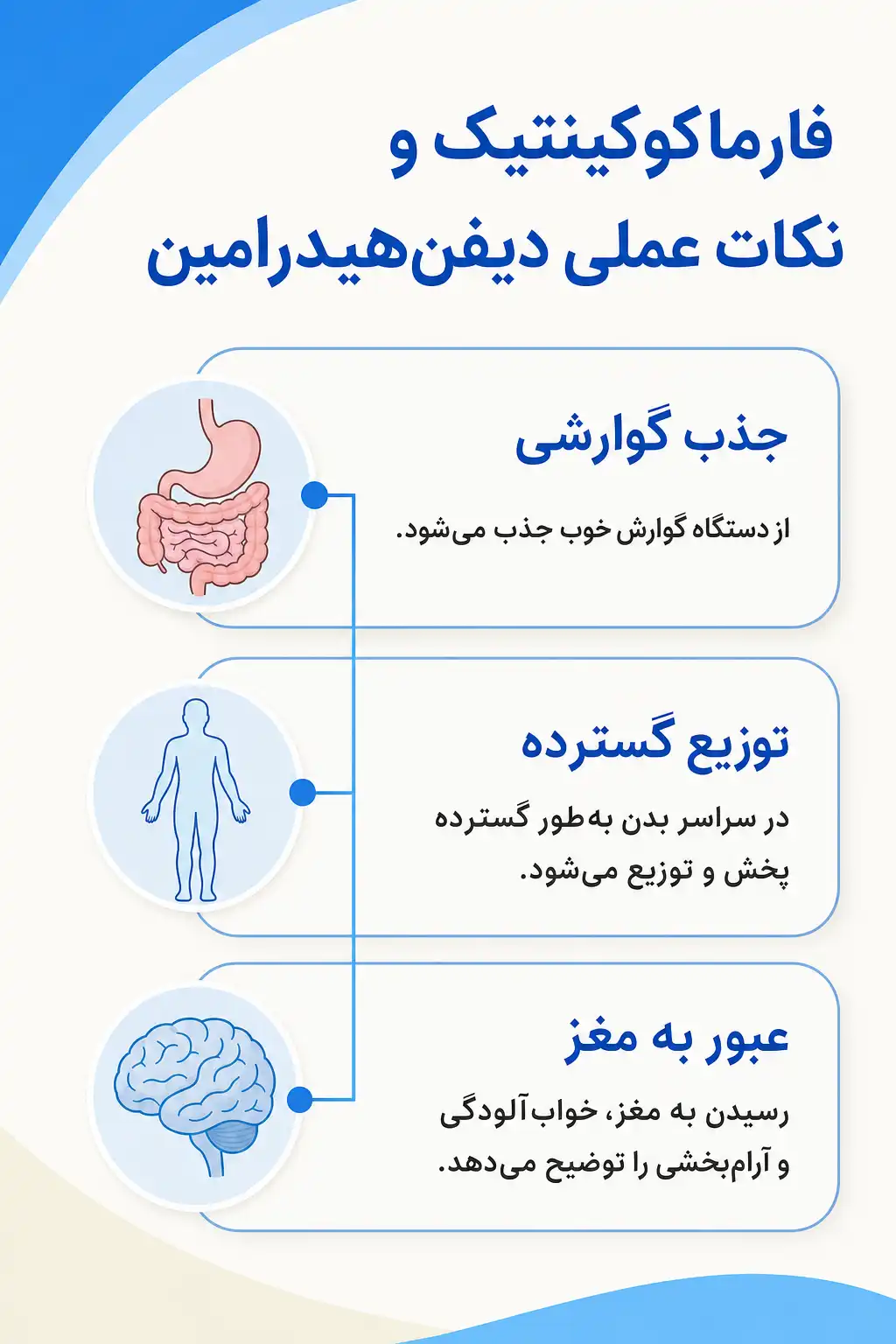 اینفوگرافیک فارماکوکینتیک و مسیر دیفنهیدرامین در بدن