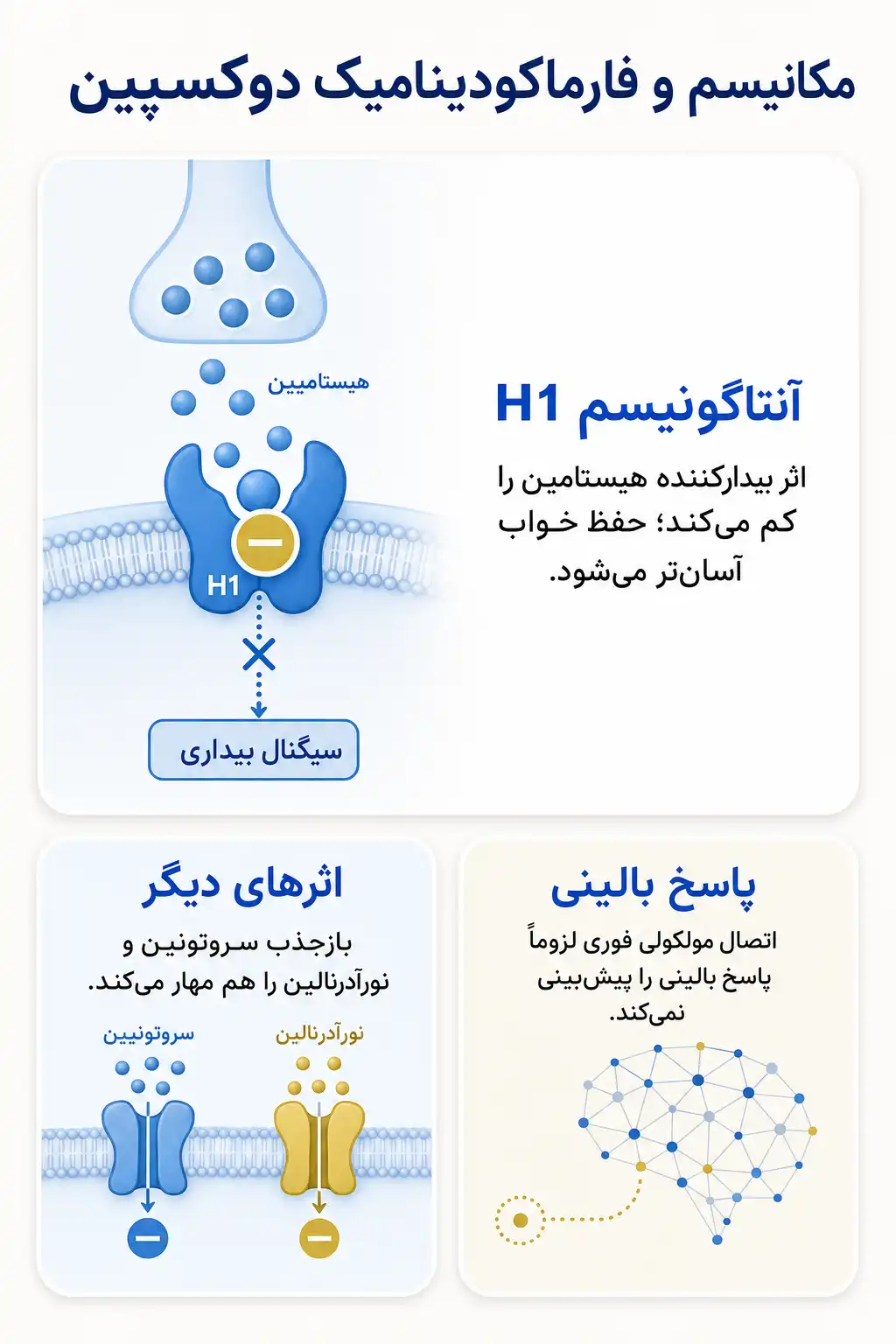 اینفوگرافیک مکانیسم اثر و فارماکودینامیکدوکسپین