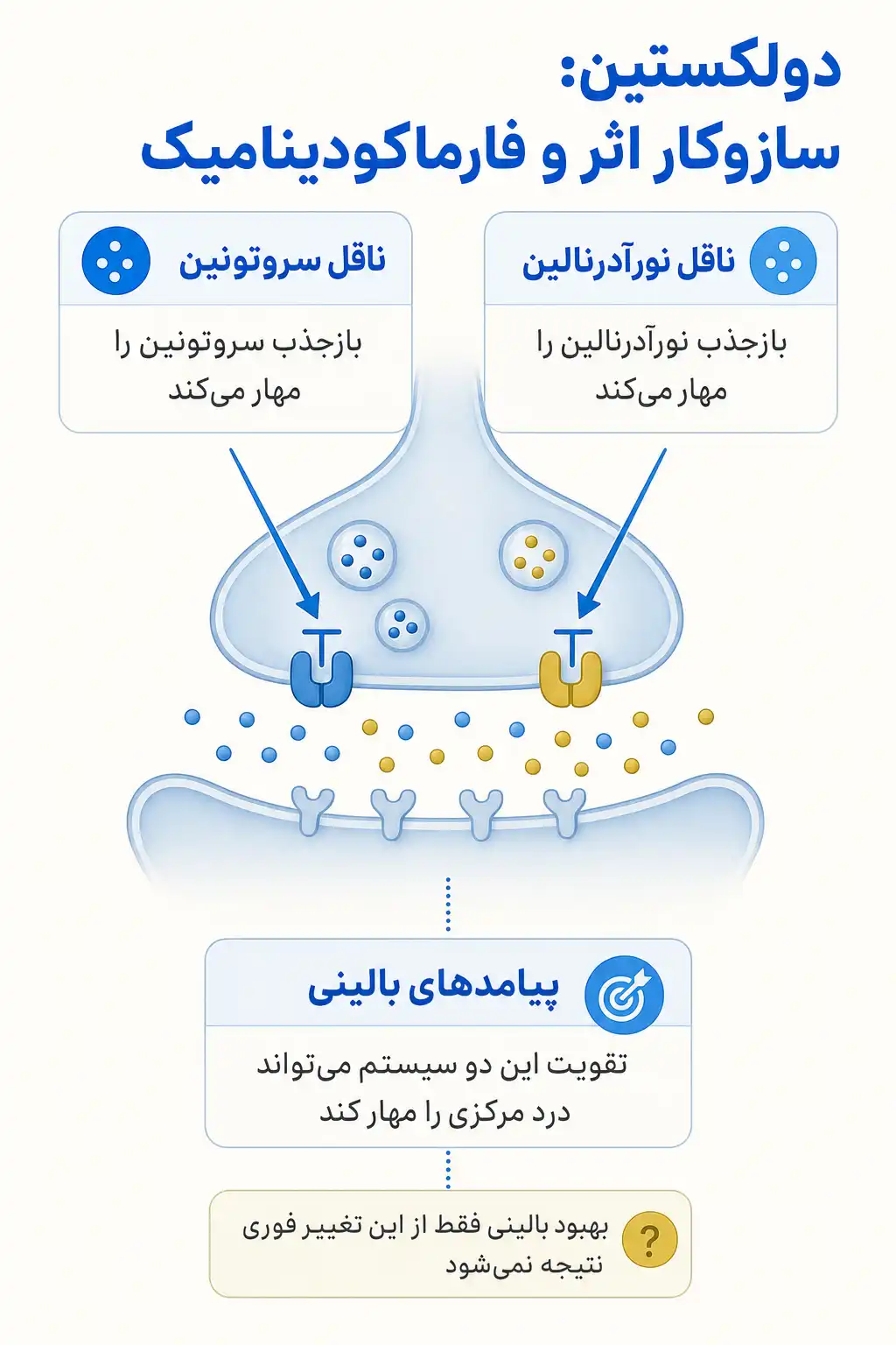 اینفوگرافیک مکانیسم اثر و فارماکودینامیکدولکستین