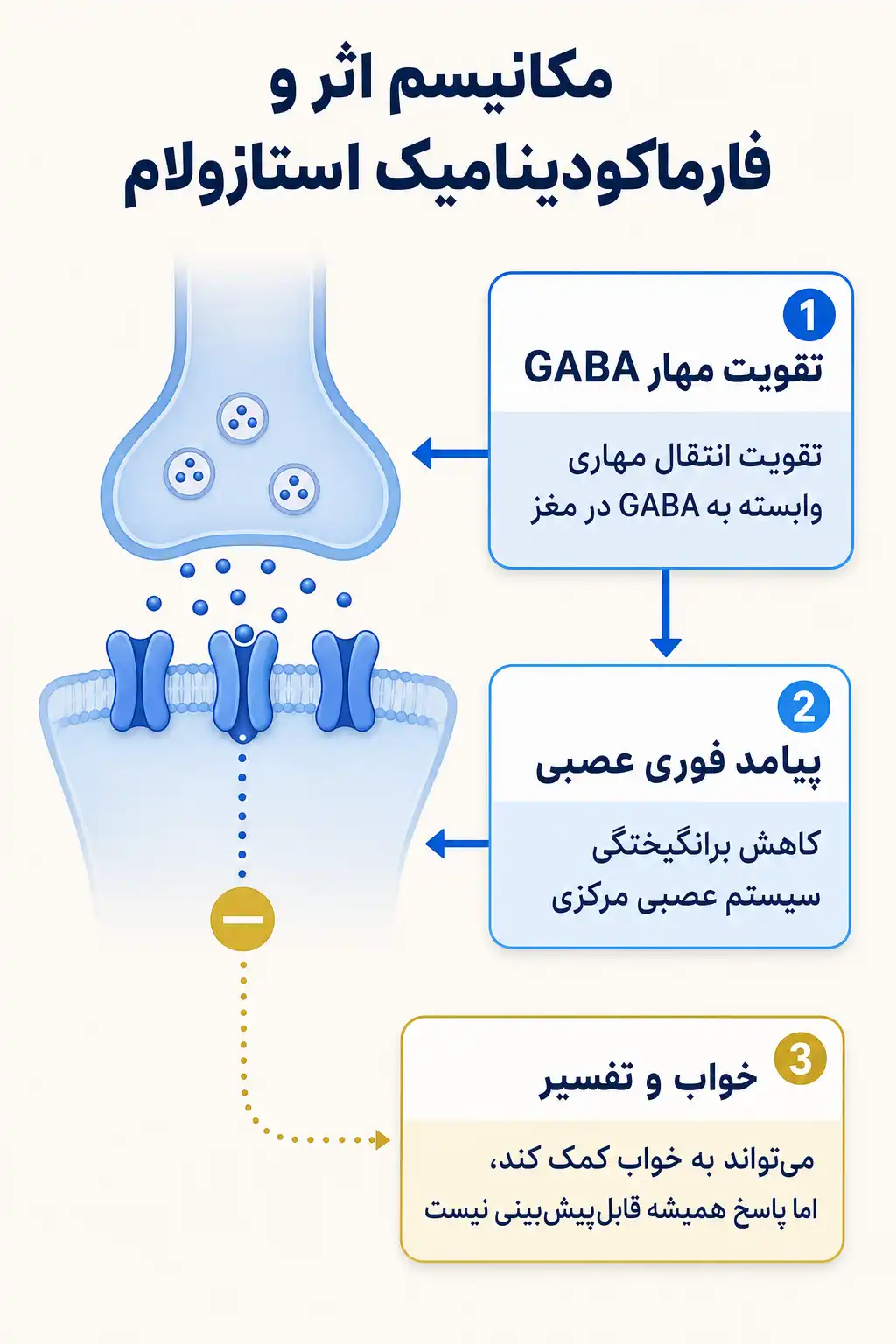 اینفوگرافیک مکانیسم اثر و فارماکودینامیکاستازولام