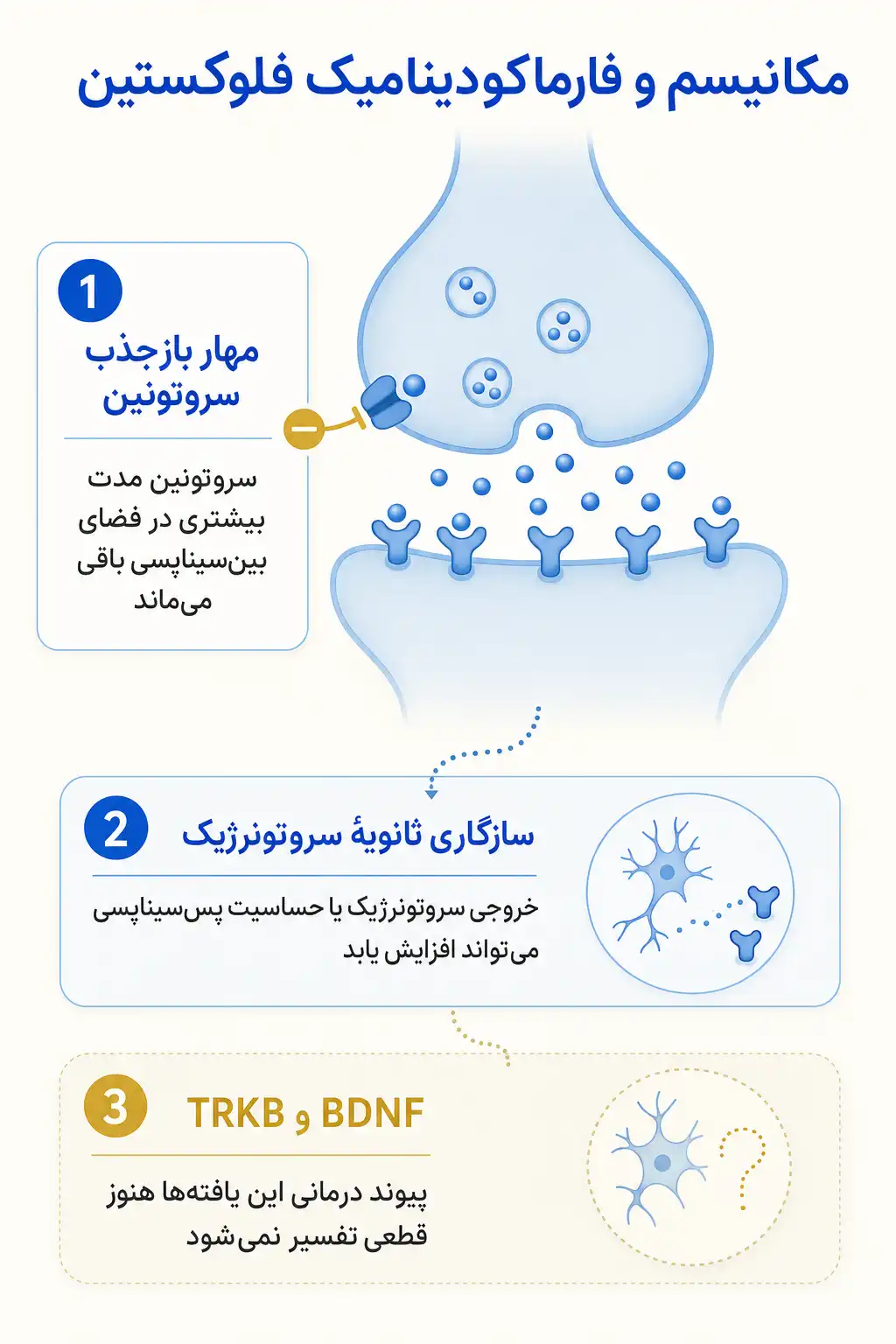 فلوکستین چیست؟ کاربردها، نحوه مصرف، عوارض و نکات مهم درمان اینفوگرافیک مکانیسم اثر و فارماکودینامیکفلوکستین