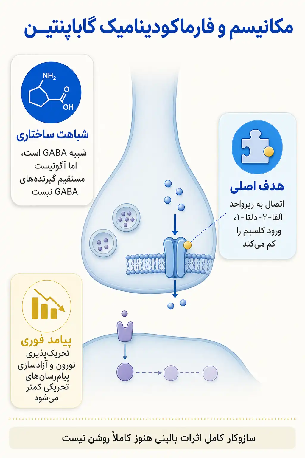 اینفوگرافیک مکانیسم اثر و فارماکودینامیکگاباپنتین