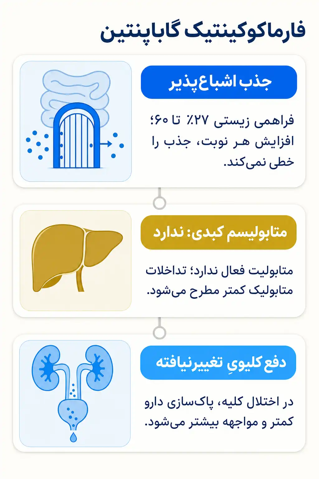 اینفوگرافیک فارماکوکینتیک و مسیر گاباپنتین در بدن
