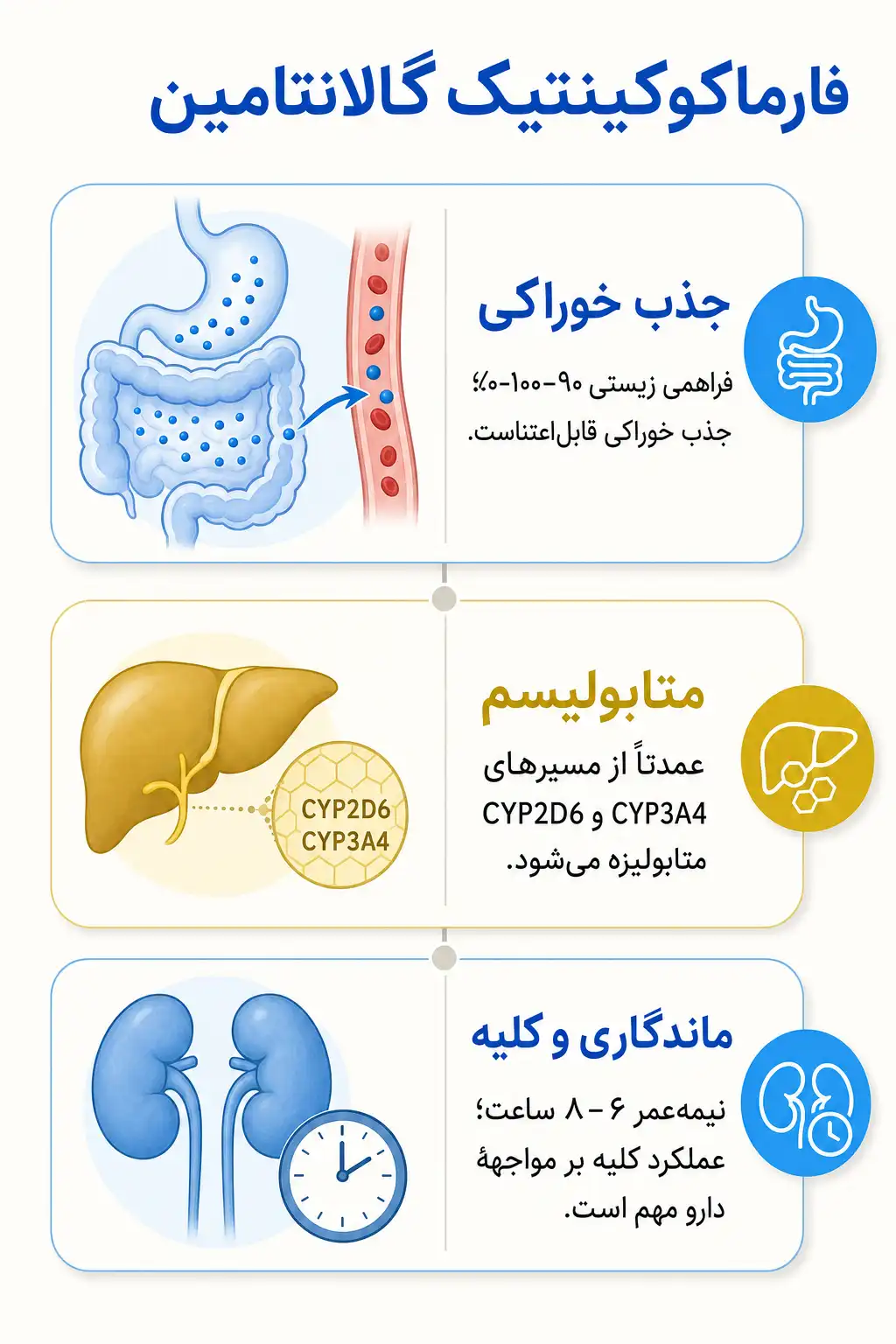 اینفوگرافیک فارماکوکینتیک و مسیر گالانتامین در بدن