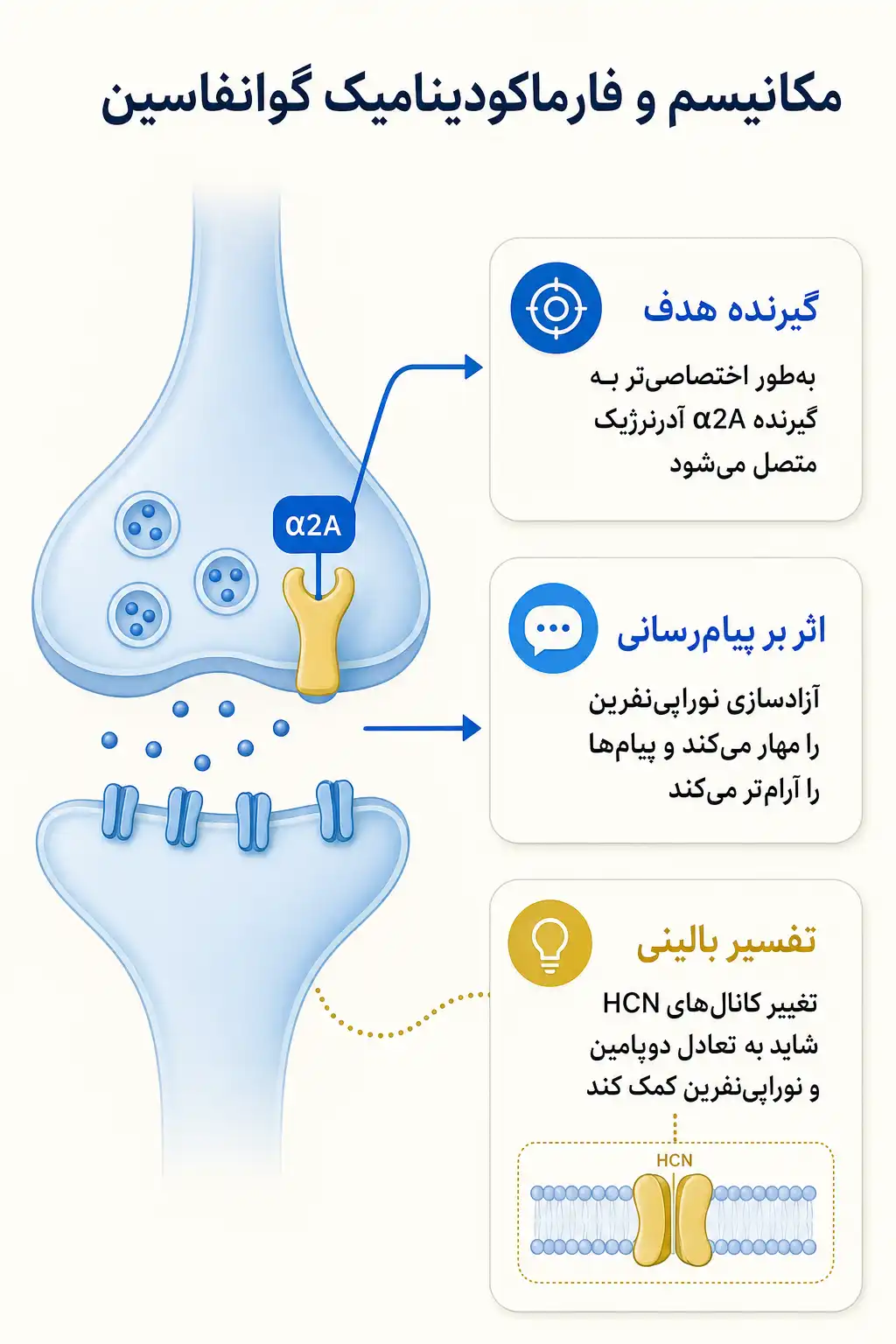 اینفوگرافیک مکانیسم اثر و فارماکودینامیکگوانفاسین