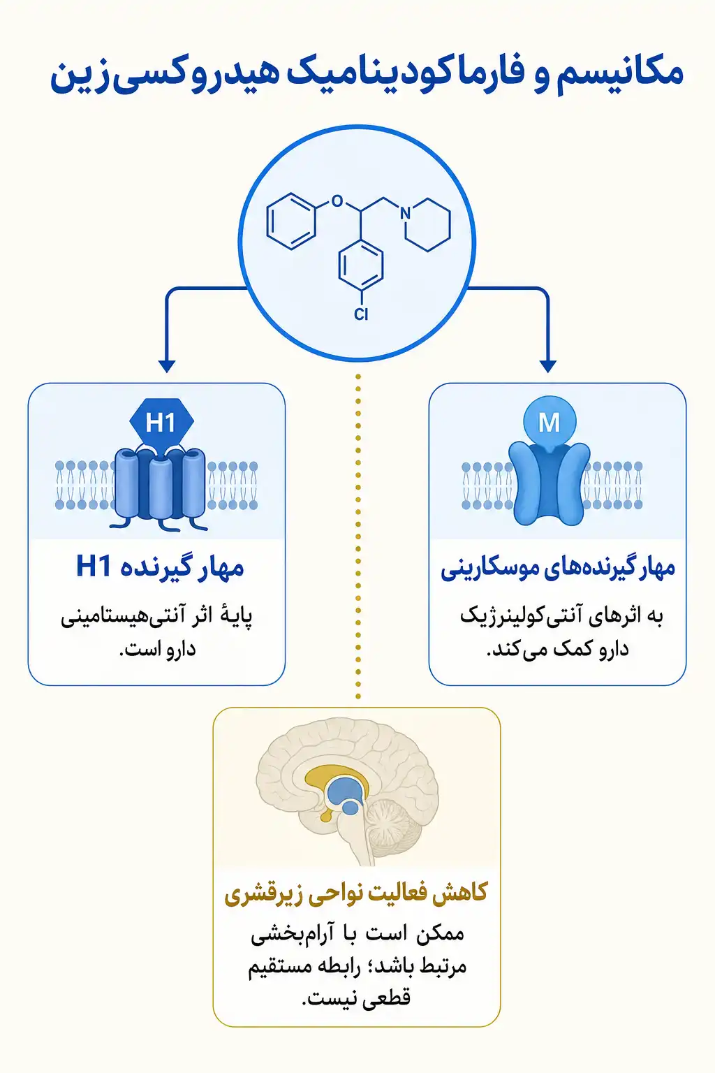 اینفوگرافیک مکانیسم اثر و فارماکودینامیکهیدروکسیزین