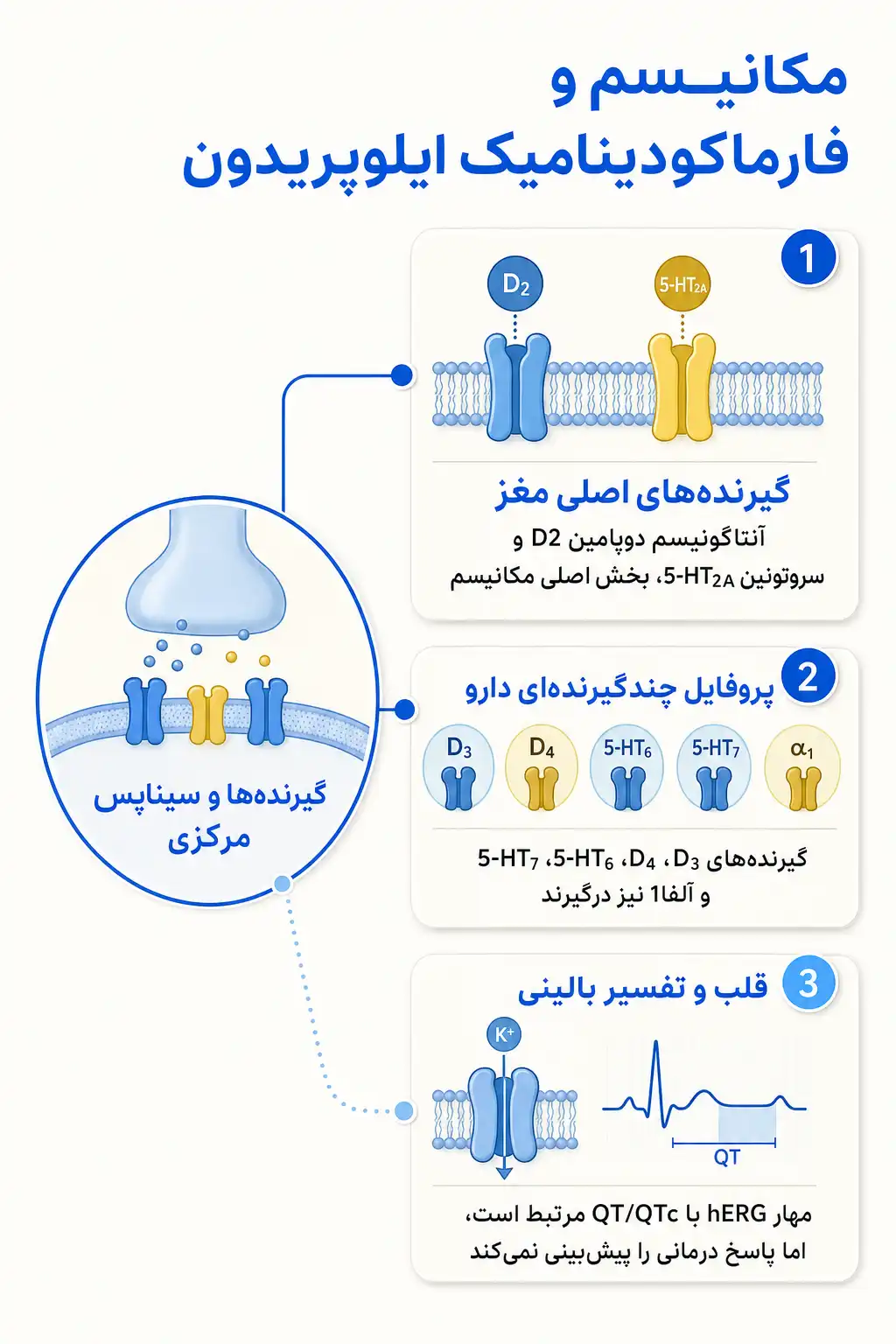 اینفوگرافیک مکانیسم اثر و فارماکودینامیکایلوپریدون